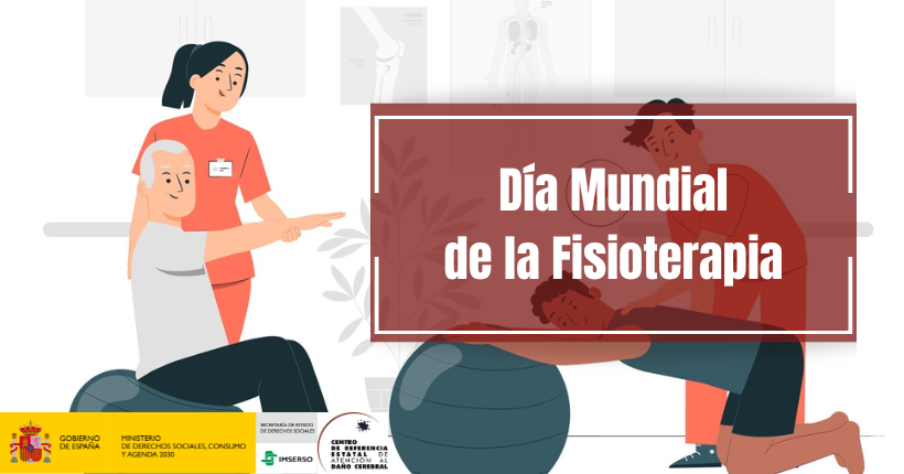 Día Mundial de la Fisioterapia