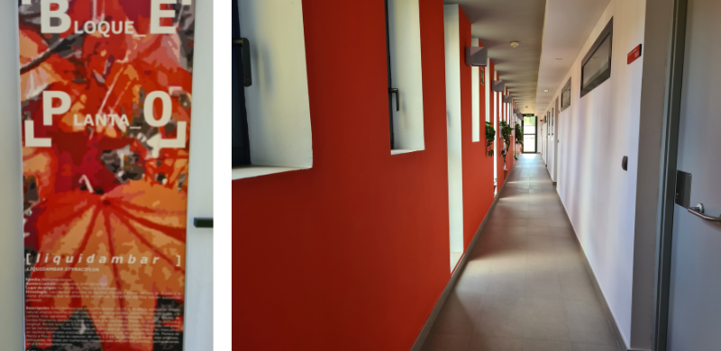 Fotos 5, 6, Viviendas colaborativas Trabensol. Uso del color e imágenes en pasillos para crear referencias y facilitar la orientación a todas las personas.